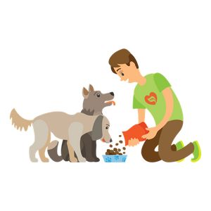 Help Strays: Your Donation Saves Lives!